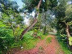 30 P Land for Sale in wathegedra Road Maharagama