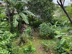 30 Perch Land For Sale in Malabe (Fantasy Garden Road)
