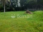 30 Perch Land For Sale In Pelawatta Rs. 2.6 Million ( PP) CVVV - A2