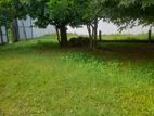 30 Perch Land For Sale In Pelawatta Rs. 2.6 Million ( PP) CVVV - A2