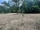 30 Perch Land In Makola Road, Kiribathgoda (LA-GAMMK-108)