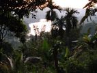 30 Perches Bare Land in Kandy Katugastota