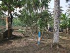 30 Perches Land for Sale in Homagama