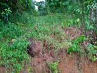 30 Perches Land for Sale in Pasyala (SSPL-427)