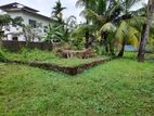 30 Perches Land with House Trincomalee