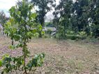 30 Perches of Residential Land for Sale in Athurugiriya