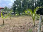 30 Perches Residential Land for Sale at Oruwala, Athurugiriya.