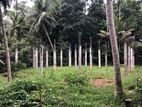 Land With Half Built House For Sale Hiriwadunna