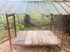 Dog Cage