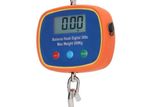 300KG HANGING SCALE - DUAL SIDE