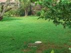 300P Land near Templer’s Road Mt Lavinia For Sale