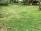 30P Land in Amarasekara Mawatha Colombo 5 For Sale