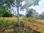 30P Prime Bare Land For Sale In Homagama