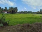 310 P High Elevated Land Facing Beautiful Paddy Field, Habaraduwa