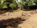 31.4 P Residential Land in – Ratuwilawatta Road, Athurugiriya | SL14733