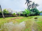 31.5 P Residential Land for Sale in Katubedda