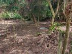 31.55P Bare Land For Sale In Tangalle