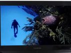 Skyworth 32'' LCD TV