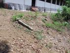 Land For Sale Horana