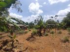 32-Perch Land for Sale in Kahahena, Hanwella