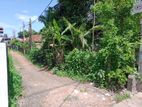 32 Perch Valuable Land for Sale at The Heart of Kottawa