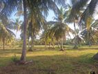 322 Perch Land with House for Sale in Godigamuwa, Negombo