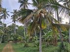 322perch Land for sale in godigamuwa