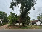 32.3 Perches Land For Sale - Muthuwadiya Road, Raddoluwa, Seeduwa