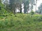 32.5 Perch Bear Land for Sale in Delgoda Near New Kandy Road