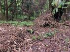 32.5 PERCH LAND for SALE in Nawalamulla
