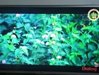 LG 32'' LH510D-TA Tv