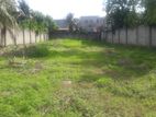 32p Bare Land for Sale in Wattala