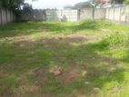 32P Bare Land for Sale in Wattala