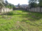 32P Bare Land for Sale in Wattala