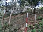 32p Land for Sale in Kandy