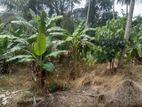 33 Perch Land For Sale in Moragahahena Horana