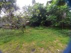 33 Perch Negambo main road facing land for sale in Kandana (C7-6916)