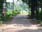 3.4 Acres Land for Sale in Dodangoda, Kalutara