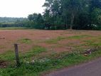 343 perches of land for sale in Moronthuduwa, Kalutara (SSPL-005)