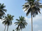 3.5 acre land for sale in kurunegala