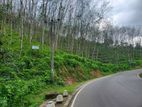 35 Acre Main-Road Frontage Rubber Estate for Sale in Yatiyantota