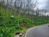 35 Acre Main-Road Frontage Rubber Estate for Sale in Yatiyantota
