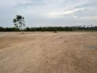 3.5 Acres Bare Land for Rent at Katunayake.