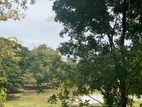 3.5 Acres Land for Sale in Dambulla