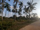3.5 Acres Land for Sale - Weerambugedara (Wariyapola Kalugamuwa Rd)