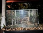 3.5 Ft Fish Tank