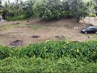 35 Perch Land for Sale Padukka