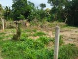 35 perches Land For Sale in Dickwella (SSPL-448)