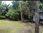 35 Perches of Land for Sale in Dematagoda