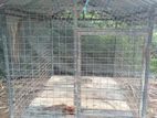 Dog Cage
